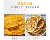 “雙胞胎”蔬菜脫水機，恍恍惚惚中哪個才是你要找的？